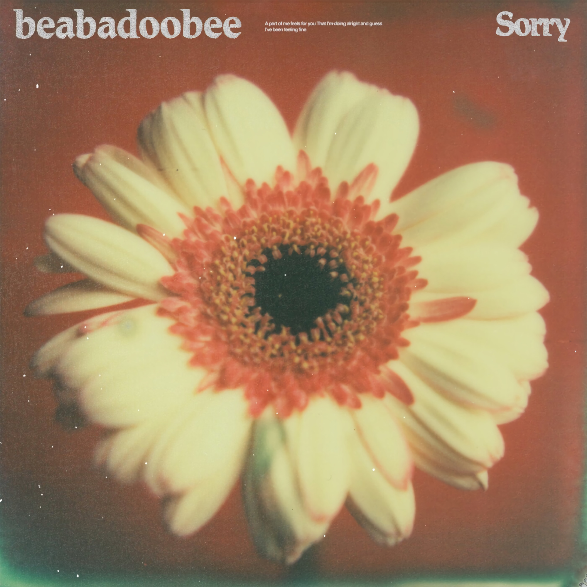  beabadoobee - Sorry