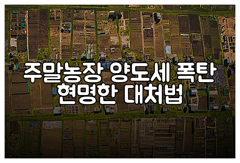 주말농장 양도세 폭탄 현명한 대처법