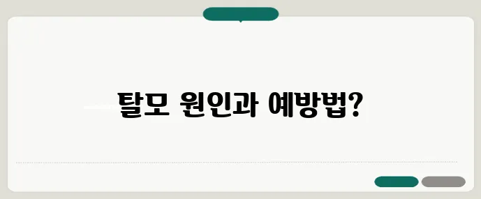 여성 탈모 원인은 무엇일까 중년 이후 예방법 5가지 꼭 기억하세요
