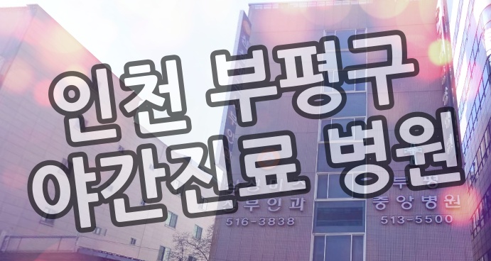  인천 부평구 야간 진료 병원, 공휴일 진료 병원, 일요일 진료 병원