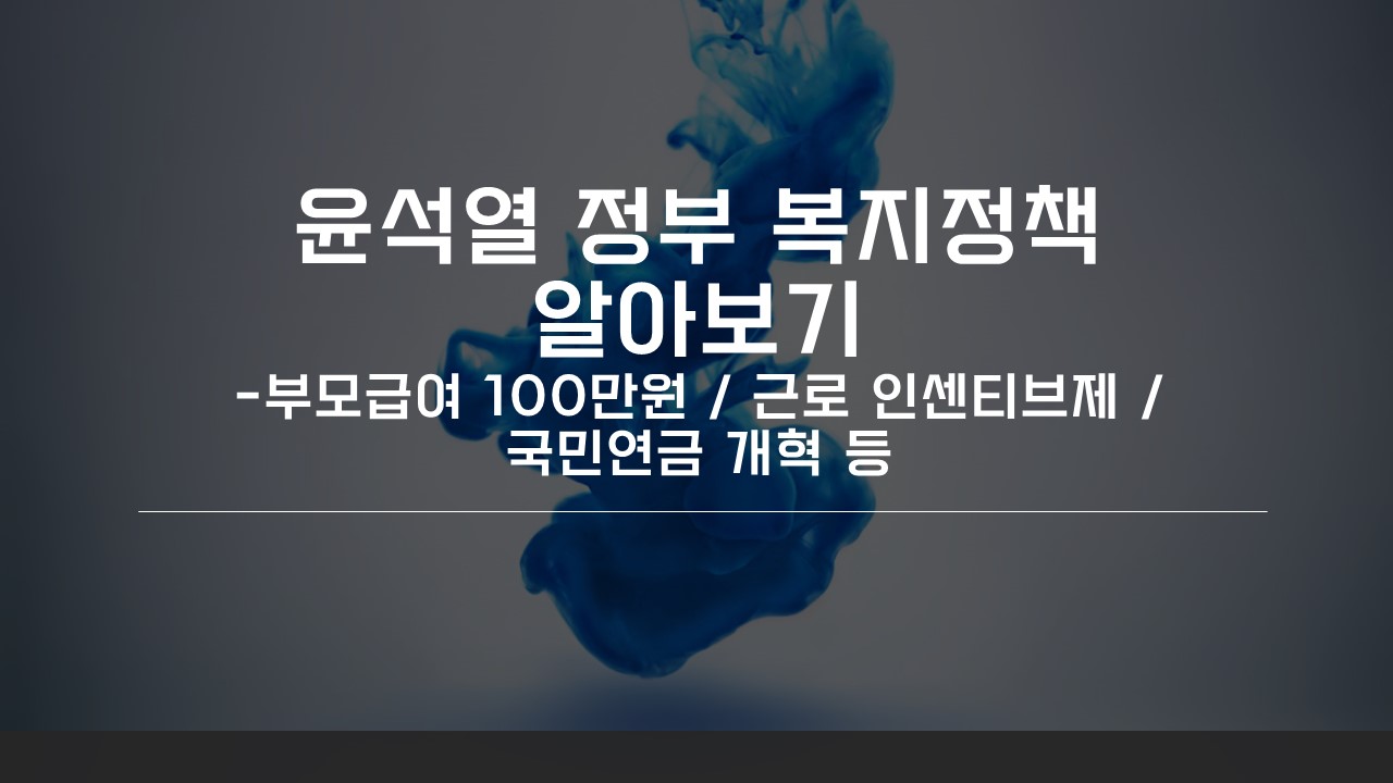  부모급여 100만원, 근로인센티브까지? 윤석열 정부 복지정책 여기 다 있다.
