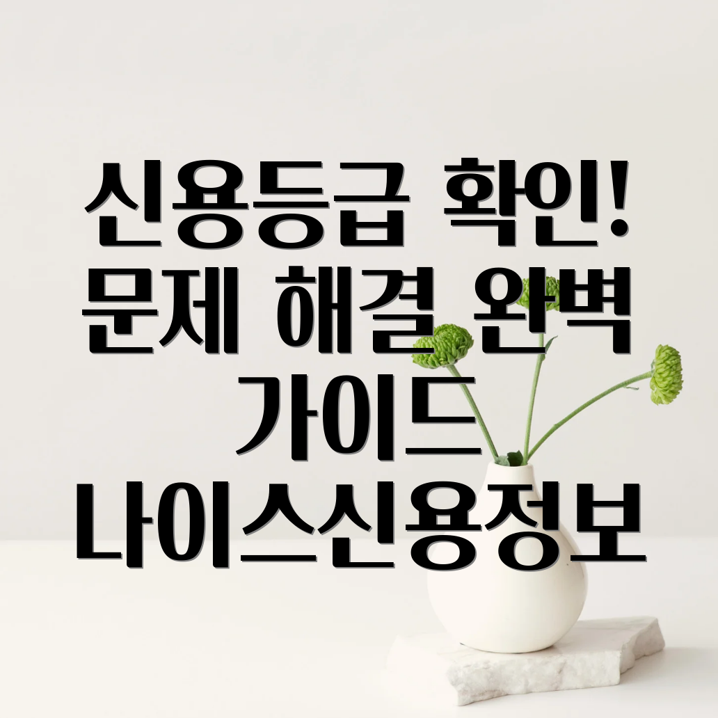 나이스신용정보 고객센터