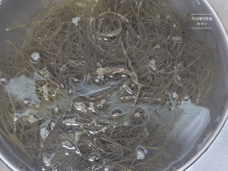 꼬시래기무침 만드는법 겨자소스 15