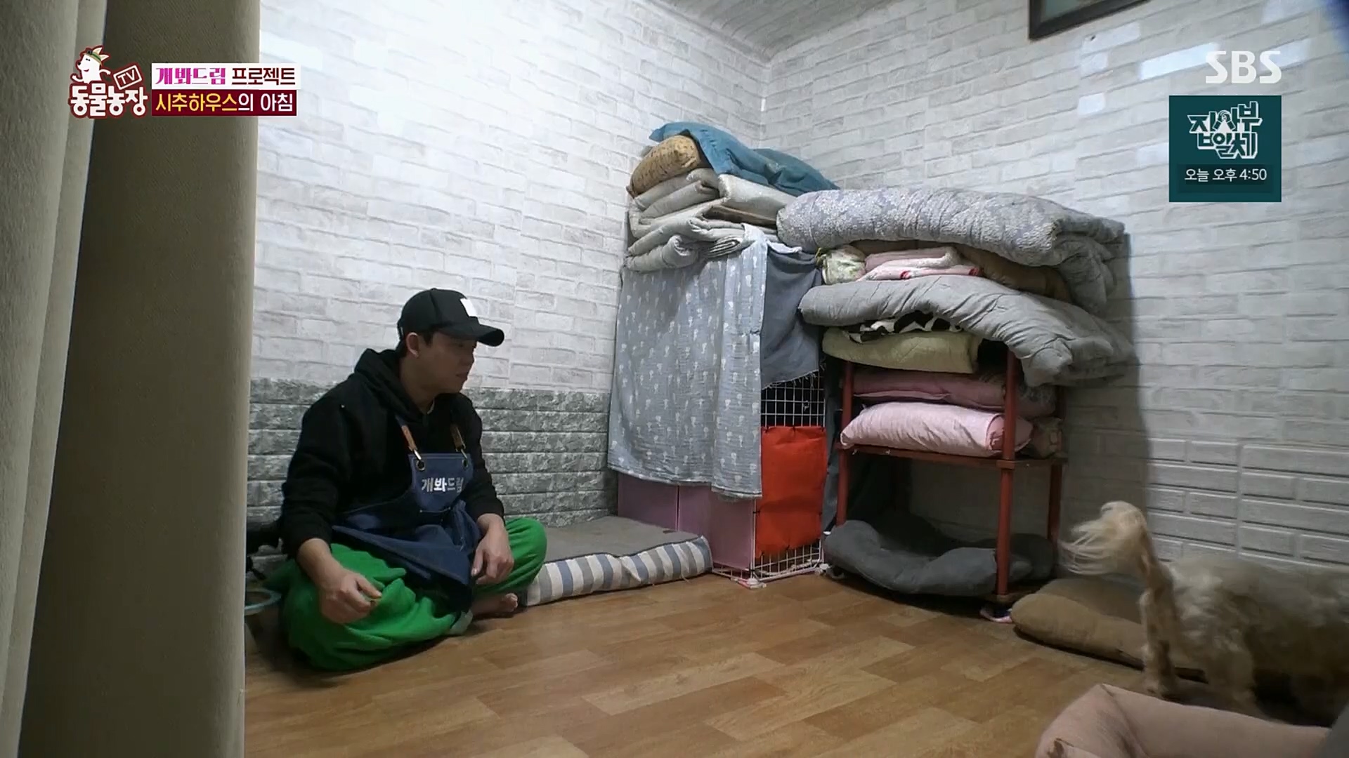 TV 동물농장.E1103.230108p.H264-F1RST.mp4_20230108_174644.074.jpg