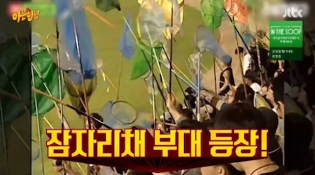 잠자리채부대