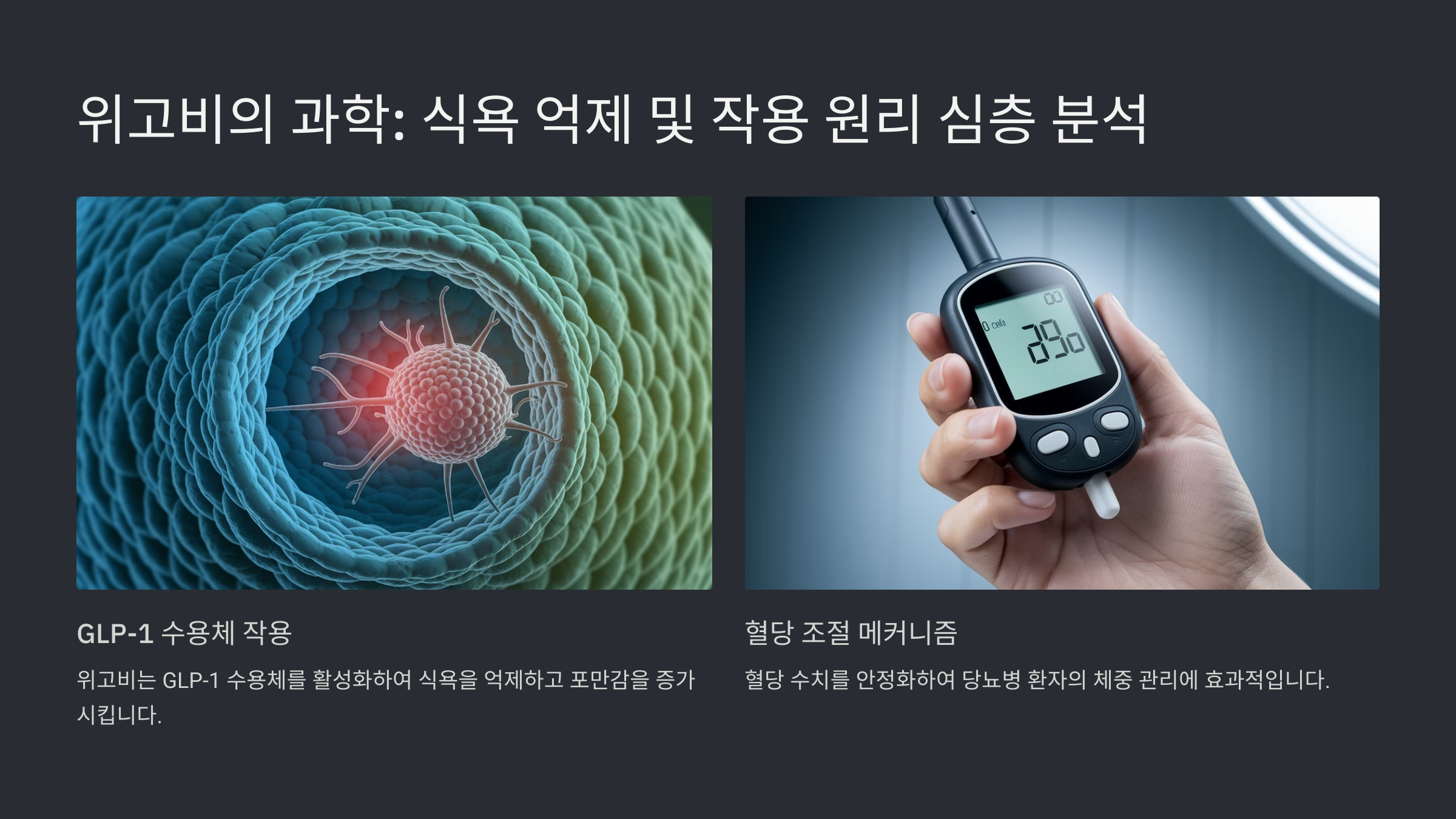 다이어트 주사 위고비(Wegovy) 효과와 부작용