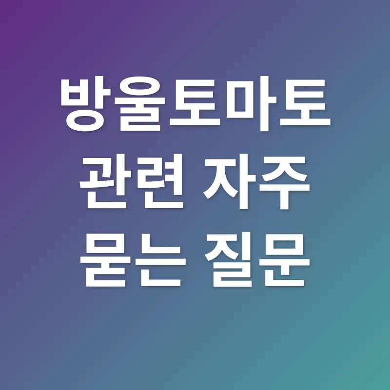 방울토마토 선택_4