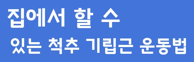 집에서 할 수 있는 척추 기립근 운동법