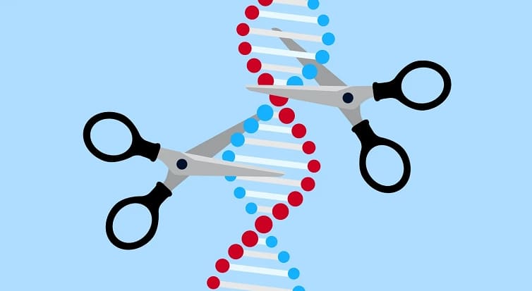  인간 DNA 조작기술은 어디까지 왔나 Human DNA manipulation techniques