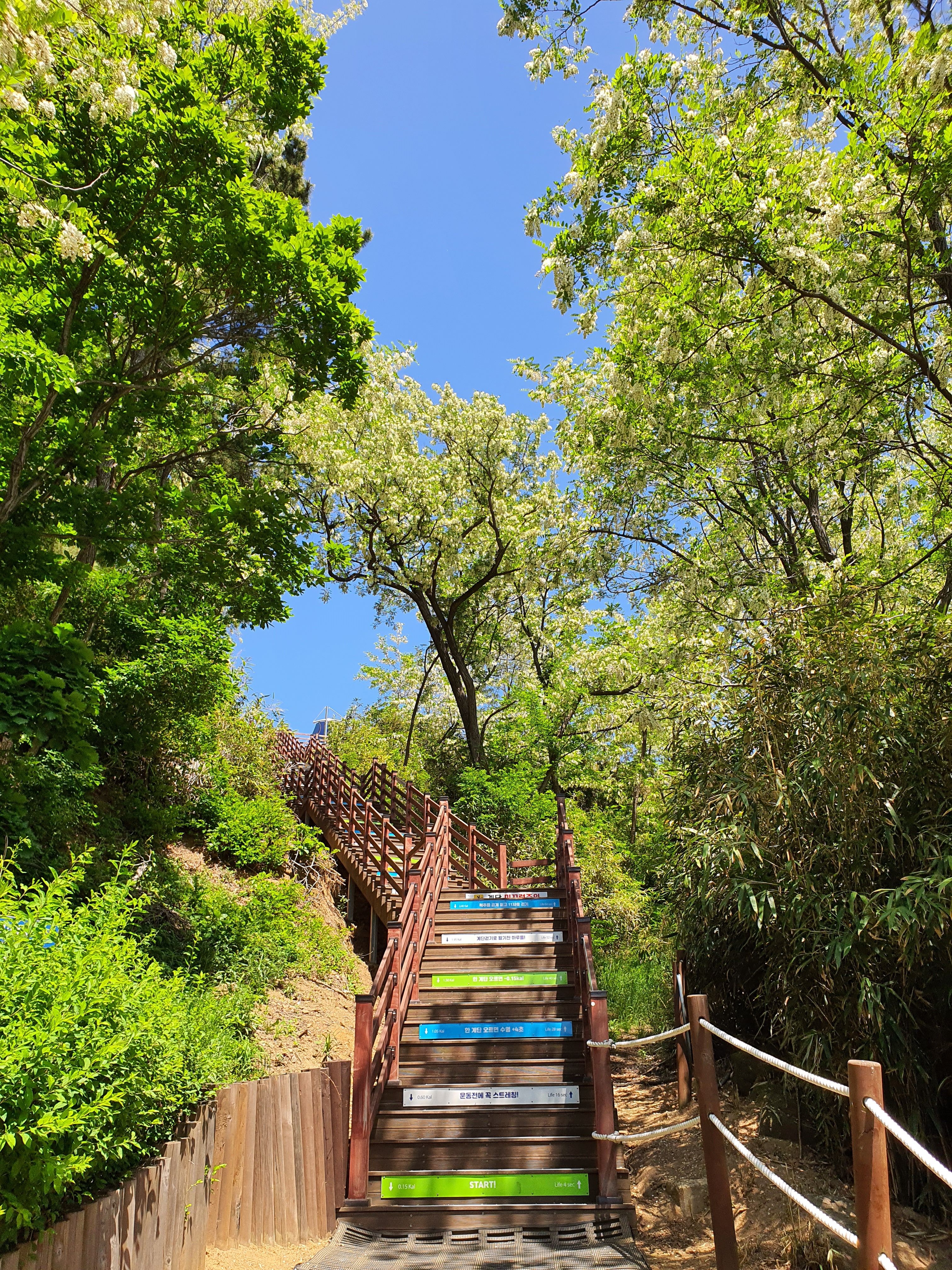 여름에는 다소 가기에 어려움이 있는 수로부인 헌화공원 계단 코스