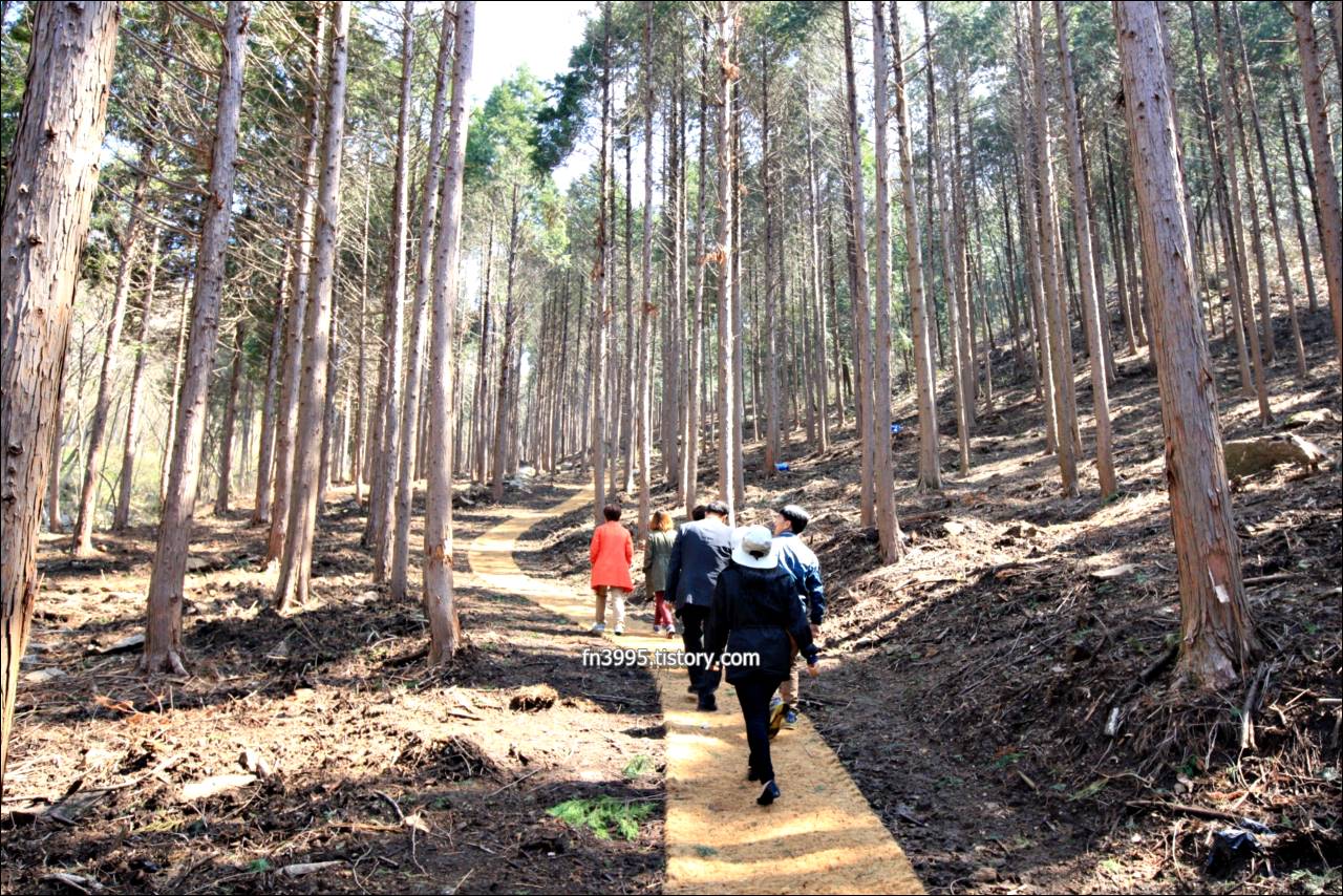 부귀편백숲산림욕장