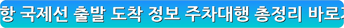 인천공항 국제선 출발 도착 정보 주차대행 총정리_24
