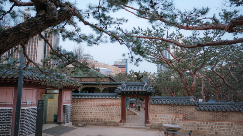 정관헌