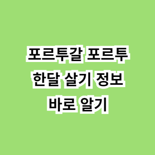 포르투갈 포르투 한 달 살기