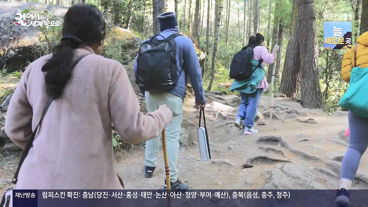 걸어서 세계속으로.E819.231126p-NEXT.mp4_20231126_175511.576.jpg