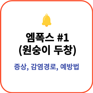 엠폭스-원숭이두창-증상-감염경로-예방법에 대한 포스팅입니다.썸네일