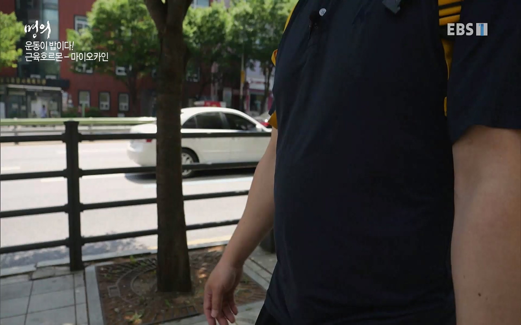 EBS 명의 헬스케어 - TV - 교육의 중심 EBS내 몸을 지배하는 7가지 호르몬 3부, 운동이 밥이다! .mp4_20220711_202505.382.jpg