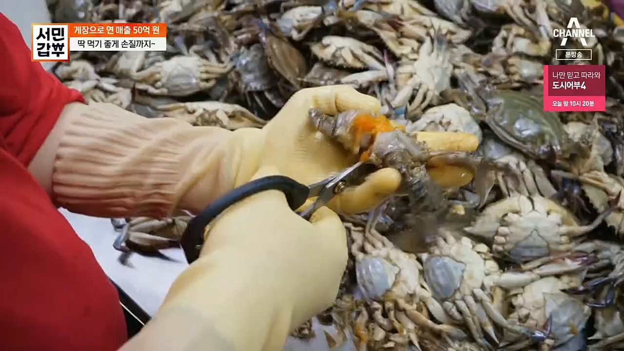 서민갑부.E411.221127p.H264-F1RST.mp4_20221127_173726.804.jpg