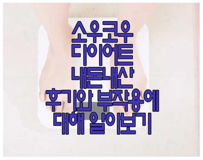 소우코우 다이어트에 관한 글 보러 가기 링크 사진