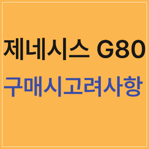 G80의 가격 정보, 주요 장점과 단점, 그리고 새차 구매 시 유의해야 할 점