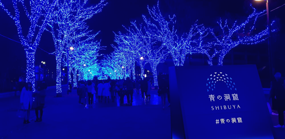 도쿄 불빛 축제