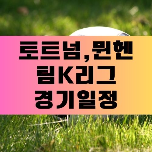 토트넘K리그경기