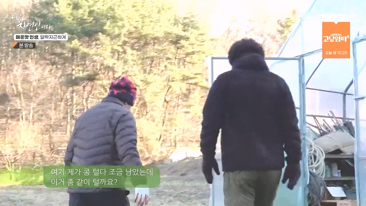 나는 자연인이다.E585.231221p-NEXT.mp4_20231221_200838.780.jpg