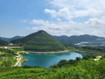강원도 무릉별유천지 라벤더 축제 일정 입장료 총정리_22