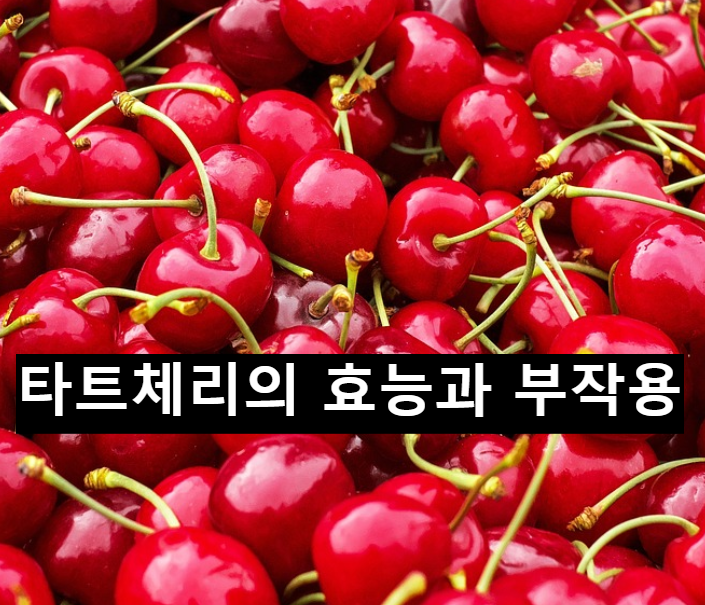  타트체리의 효능과 부작용