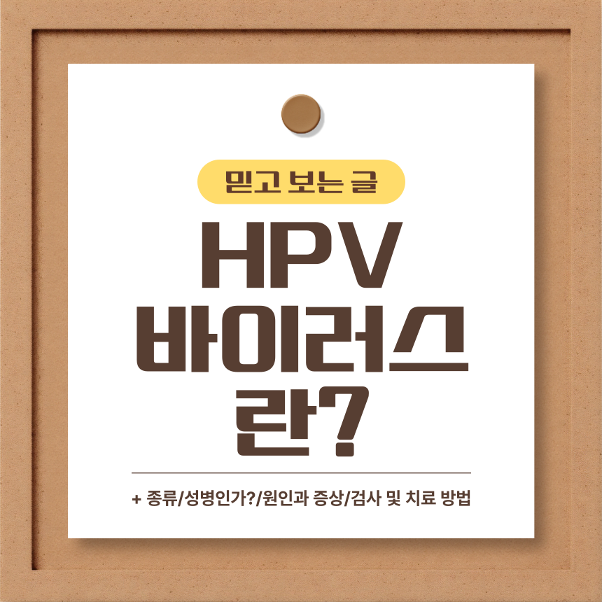  HPV 바이러스란?