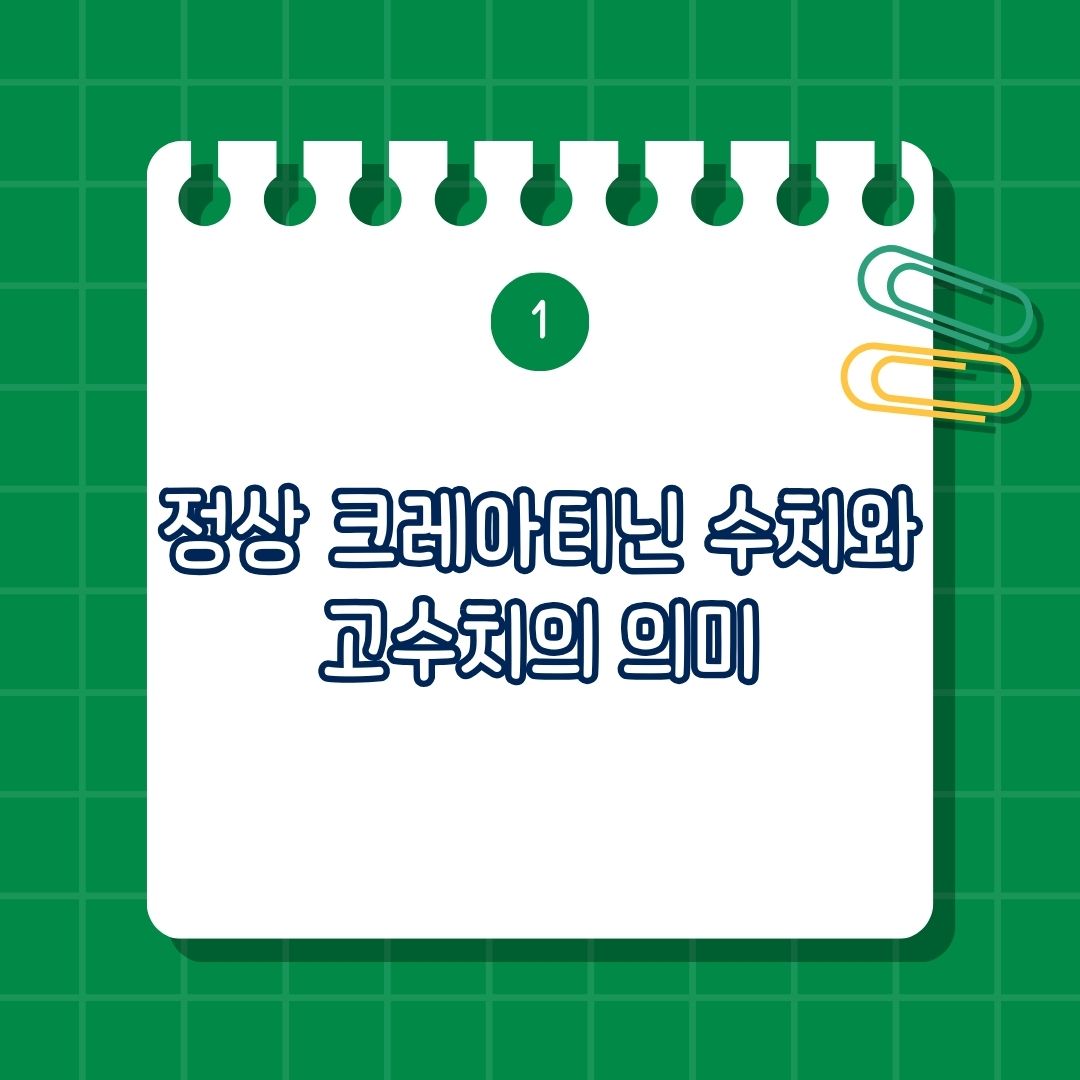 정상 크레아티닌 수치와 고수치의 의미