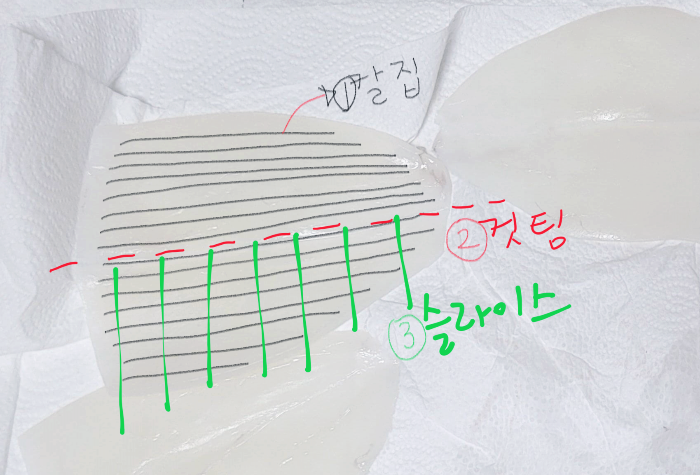  6~8월 제철 한치 낚시 한치 손질법 한치요리 K파티