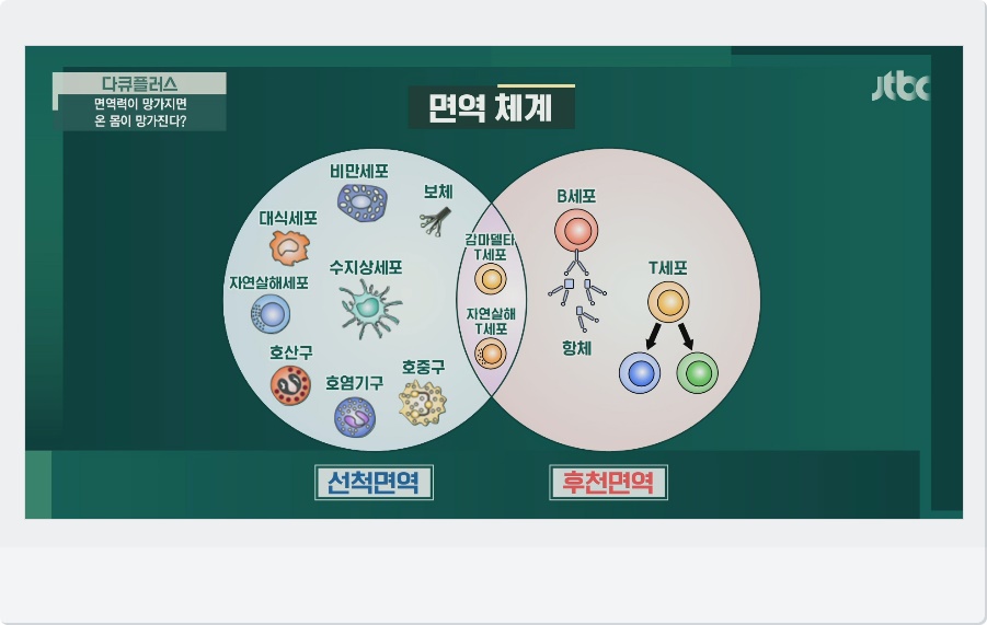 면역력 종류