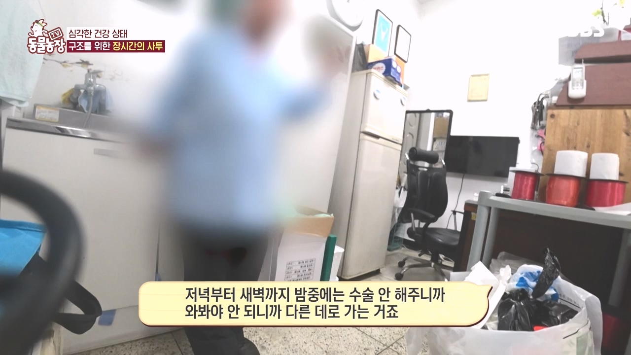 TV 동물농장.E1142.231023p-NEXT.mp4_20231022_174015.219.jpg
