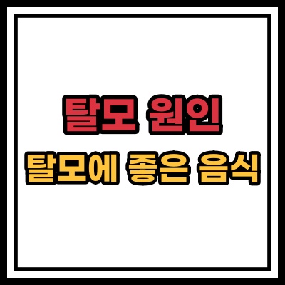  탈모 원인 좋은 음식
