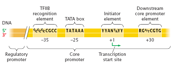 article thumbnail image