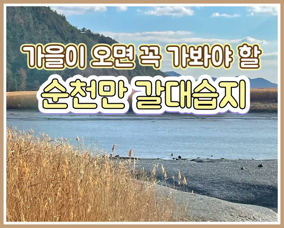  순천만습지 순천만국가정원 갈대밭 가을여행지 가볼만한곳 추천