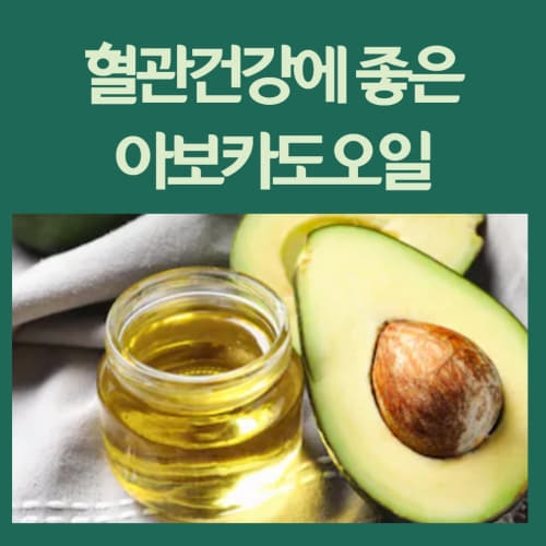  혈관 청소부 식물성 불포화지방산 아보카도오일 효능 먹는법 보관법/avocado oil