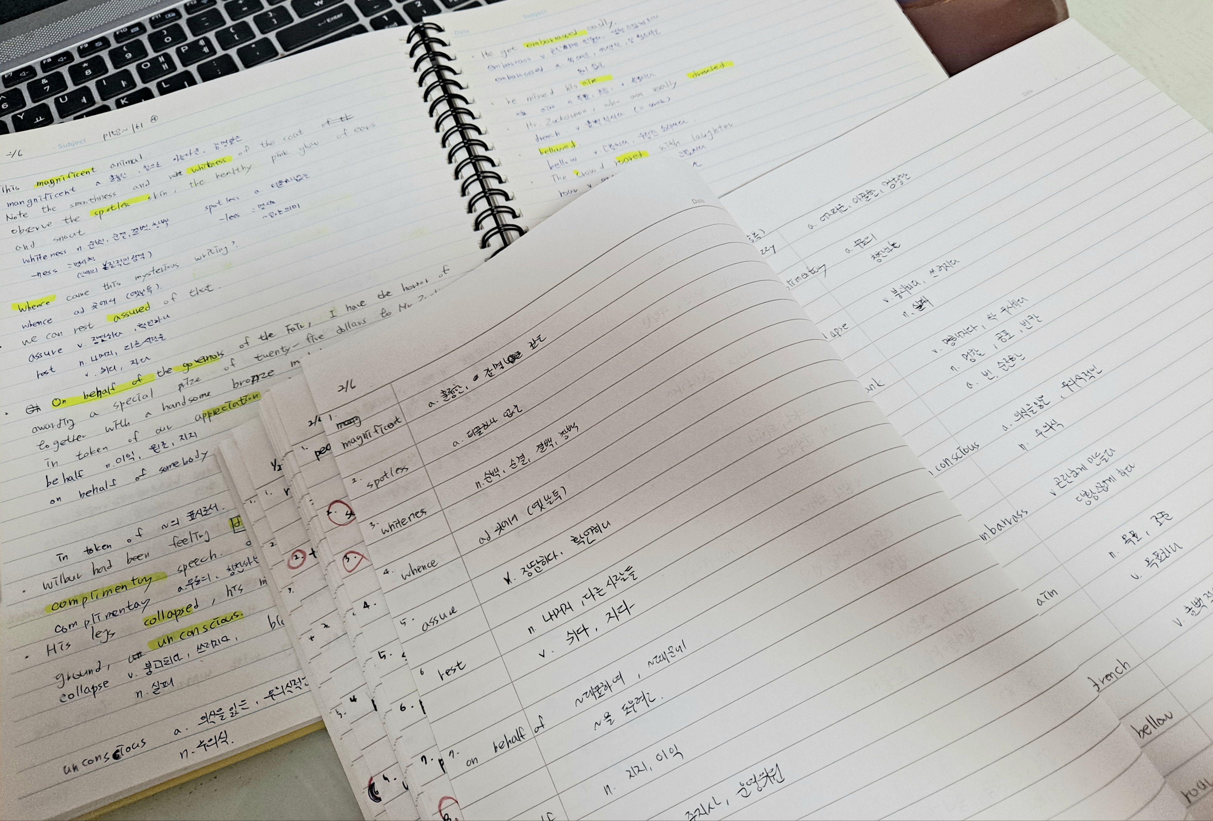  Charlotte's web 원서읽기 53일차