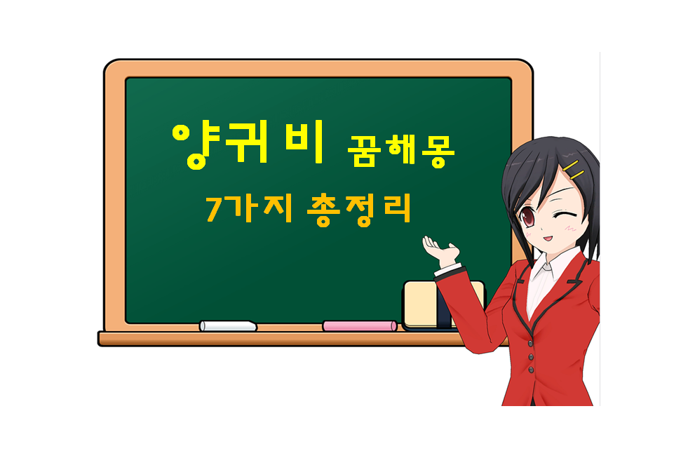  양귀비 꿈해몽 7가지 총정리