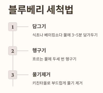 블루베리 세척법