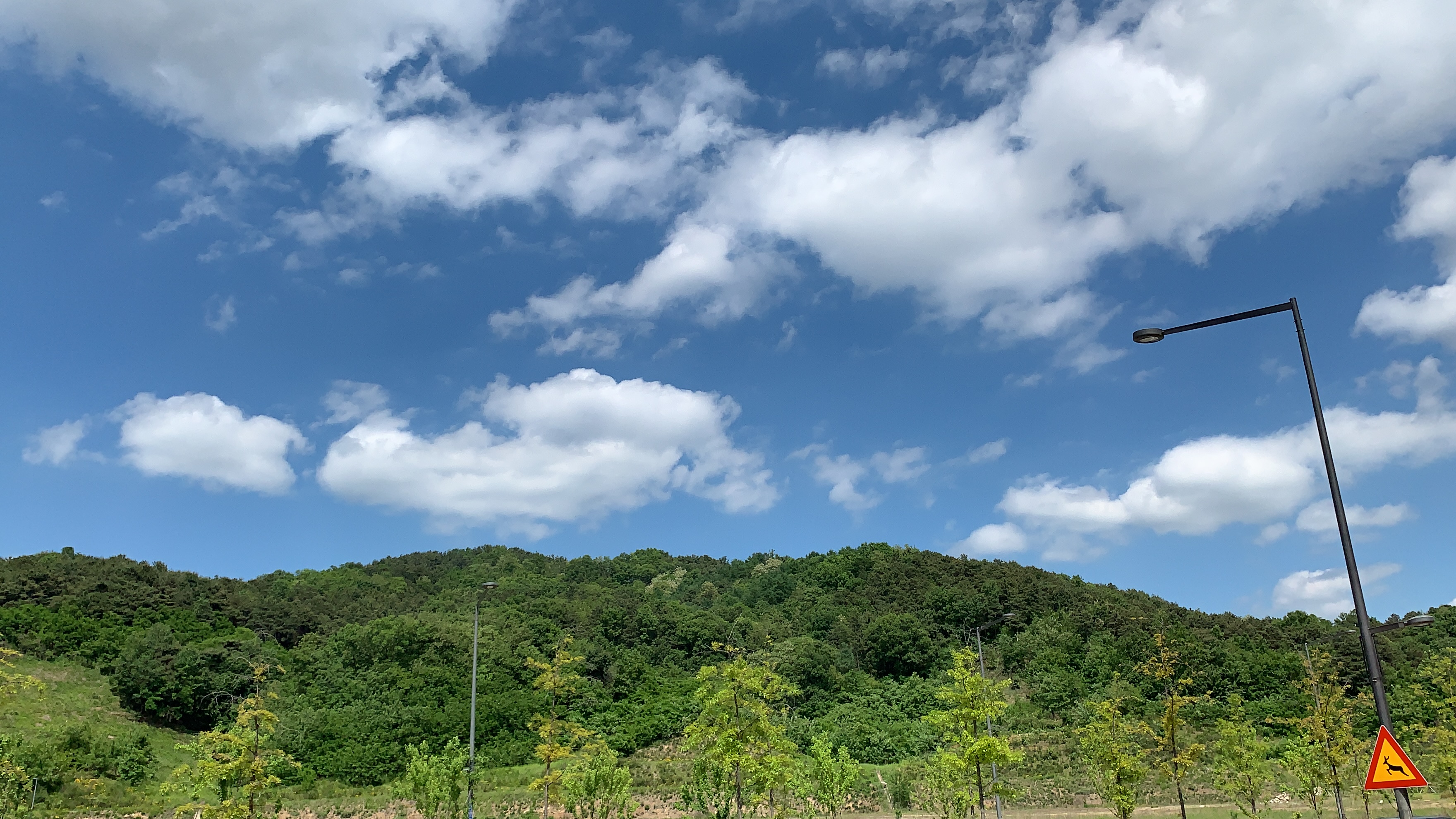 건설공사 하도급 제한, 불법 하도급 위반시 처벌 및 법적 근거