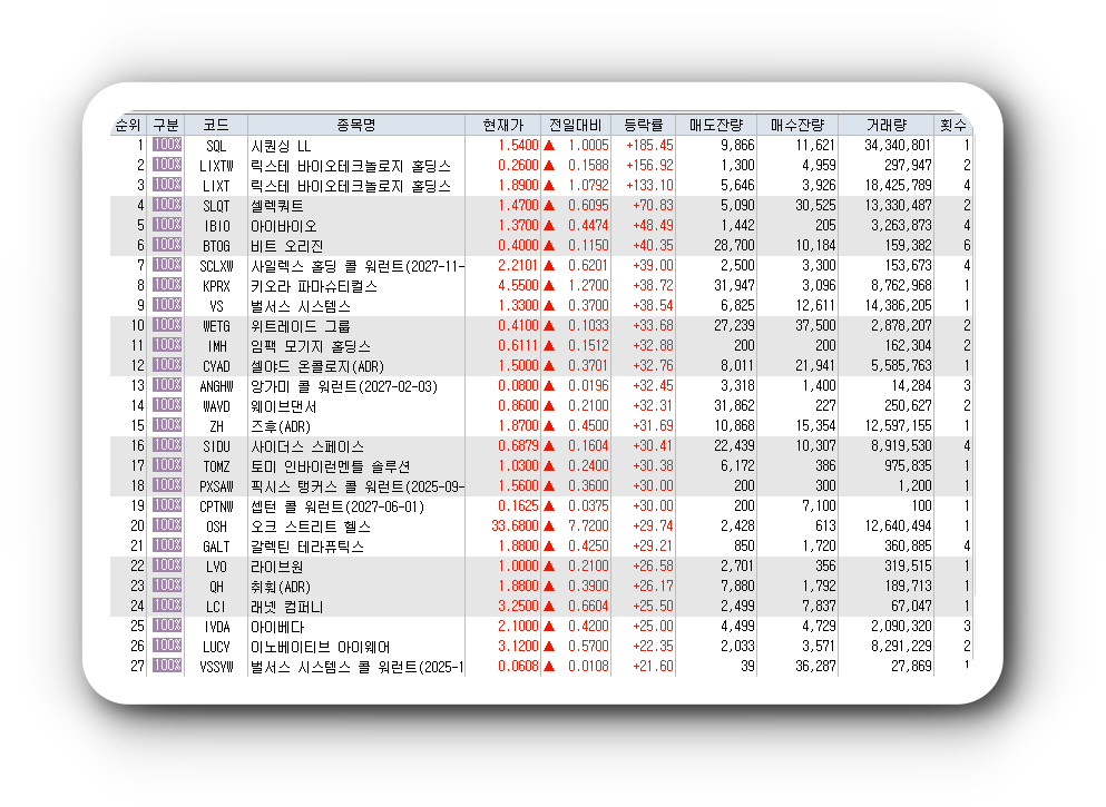  2월7일 미국주식 상승률 상위 종목 TOP 300