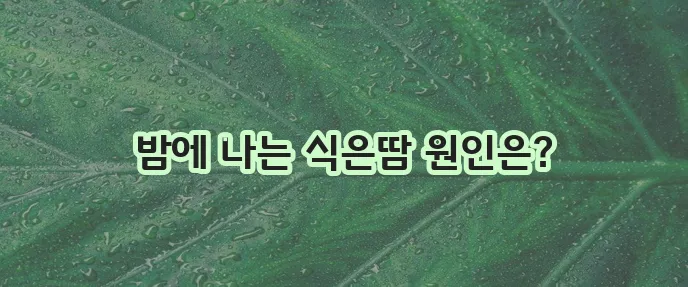 잠잘 때 식은땀 흘리는 이유, 혹시 궁금하신가요?