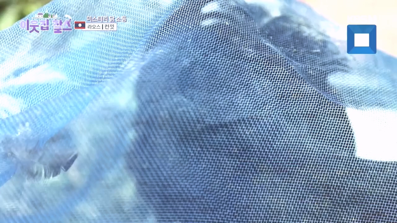 이웃집 찰스.E408.231025p.H264-F1RST.mp4_20231025_195516.716.jpg