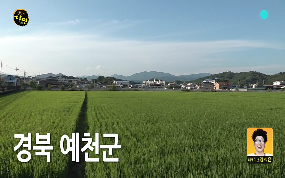 생활의 달인.E852.220719p-NEXT.mp4_20220719_202126.357.jpg