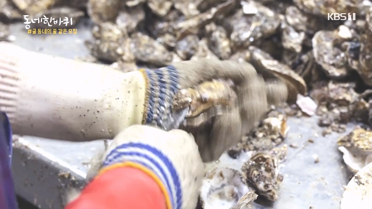 동네 한 바퀴.E243.231015p-NEXT.mp4_20231015_184148.755.jpg