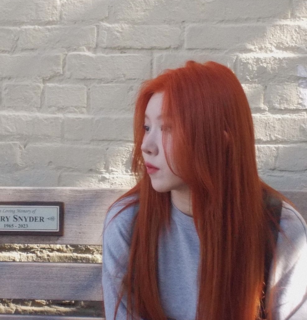 에드비 이미지