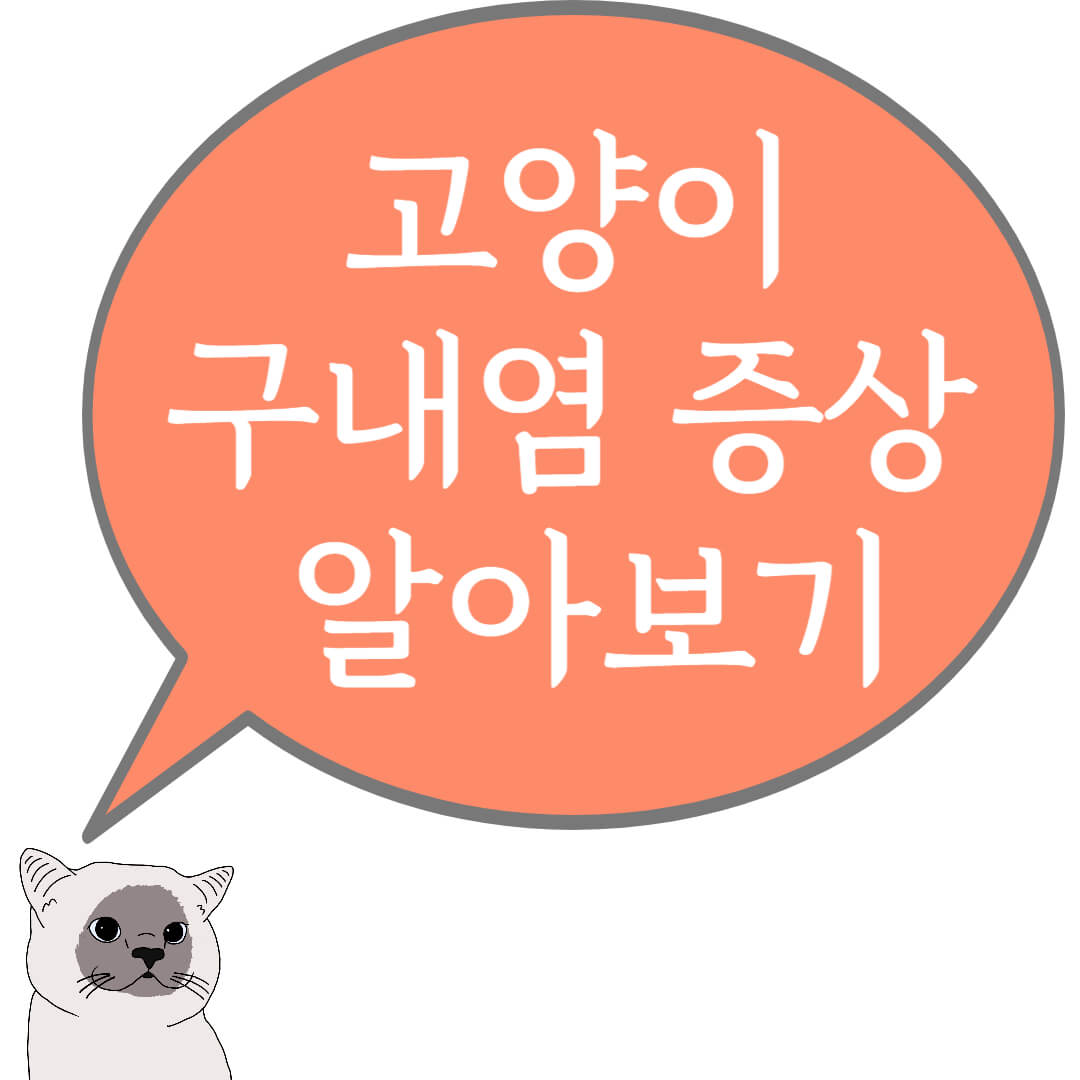 고양이 구내염 증상 알아보기