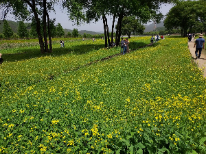 봄맞이 숙박 할인 페스타